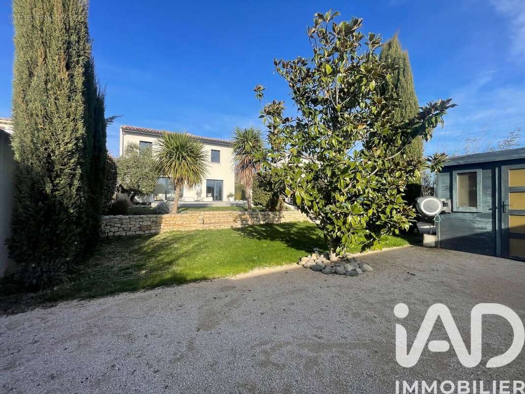 Photo 3 - Maison à CHATEAUNEUF-DU-PAPE