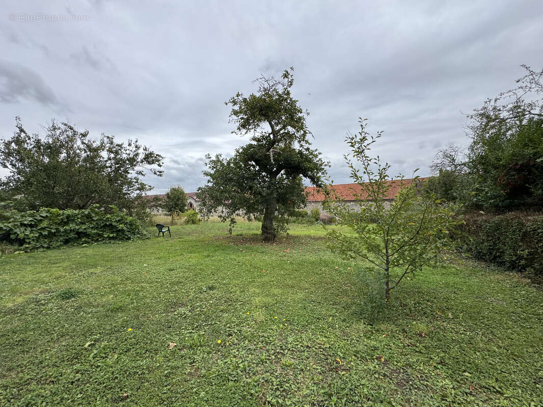 Terrain à VILLERS-COTTERETS