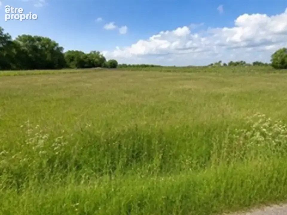 Terrain à SAINT-SAVIN