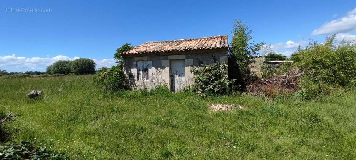 Maison à SAINT-CIERS-SUR-GIRONDE