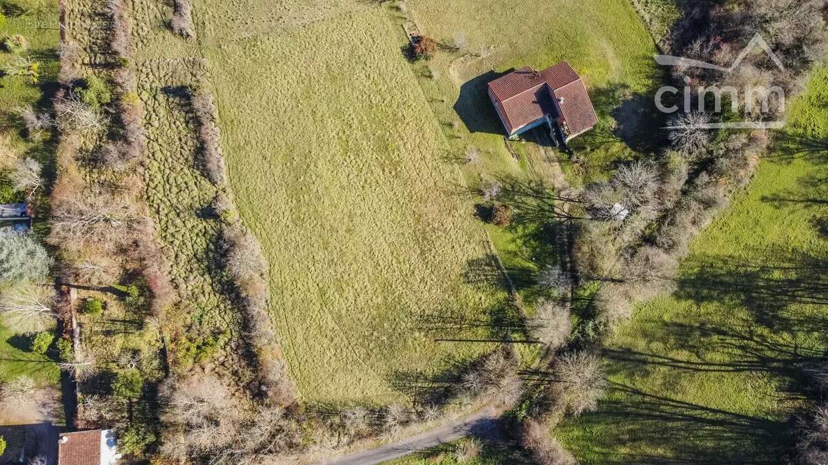Terrain à CORDES-SUR-CIEL