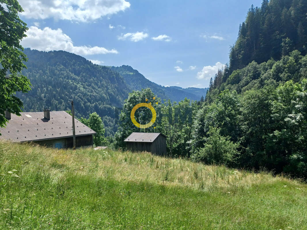 Terrain à LA GIETTAZ