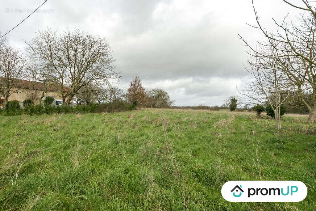 Terrain à VIEUX-RUFFEC