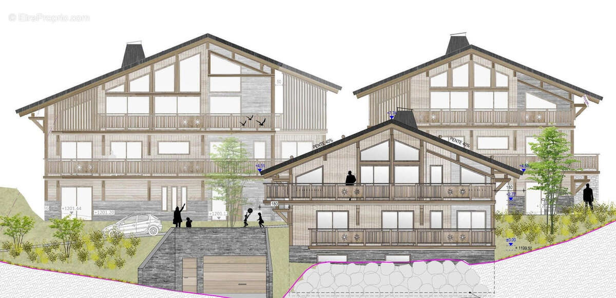 Ski Chalet for sale Chatel  Facade