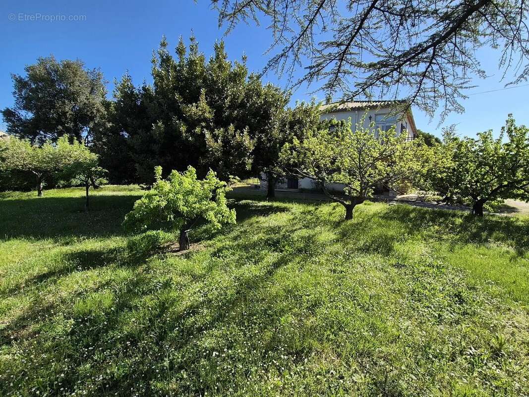 Maison à SAINT-PRIVAT-DES-VIEUX