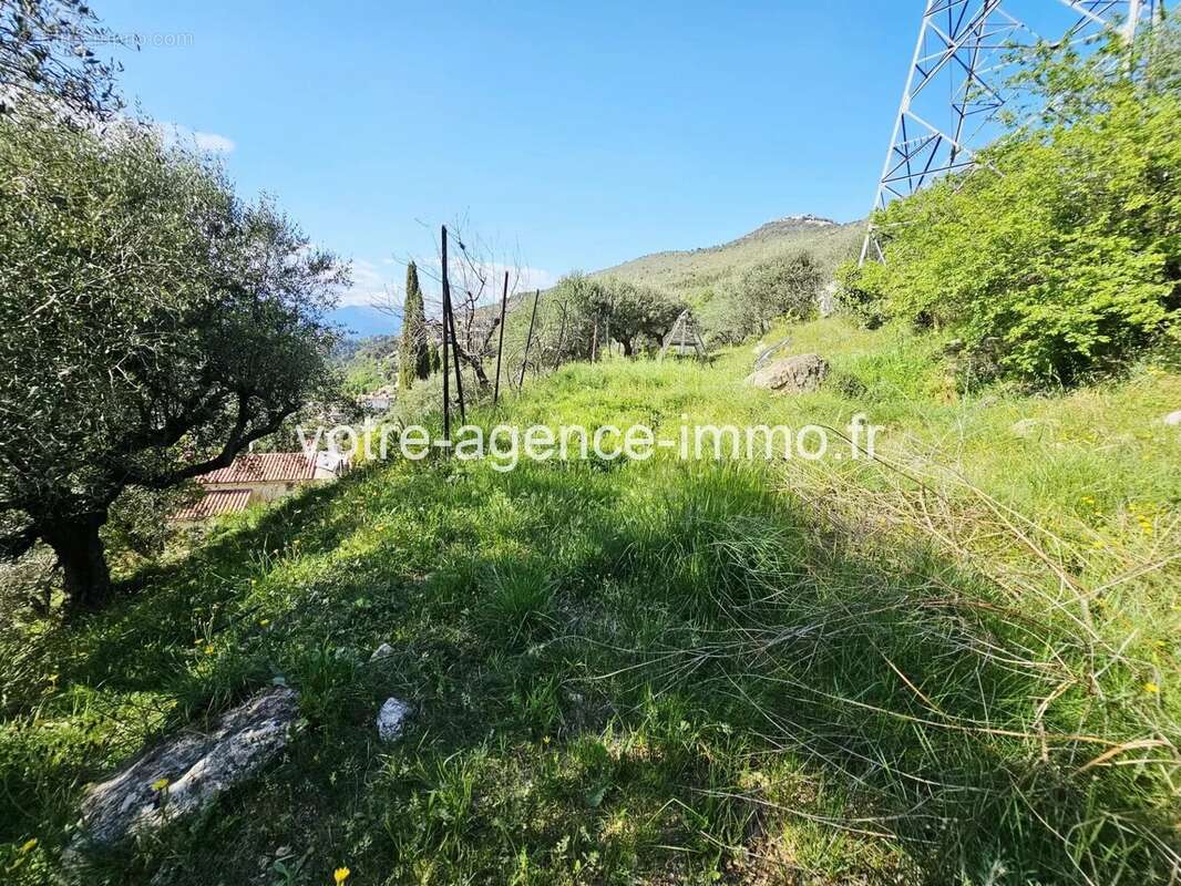 Terrain à ASPREMONT