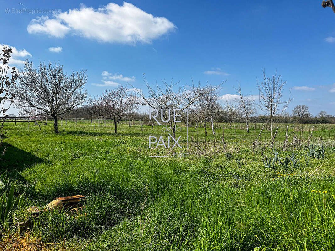 Maison à VENDEUVRE-DU-POITOU