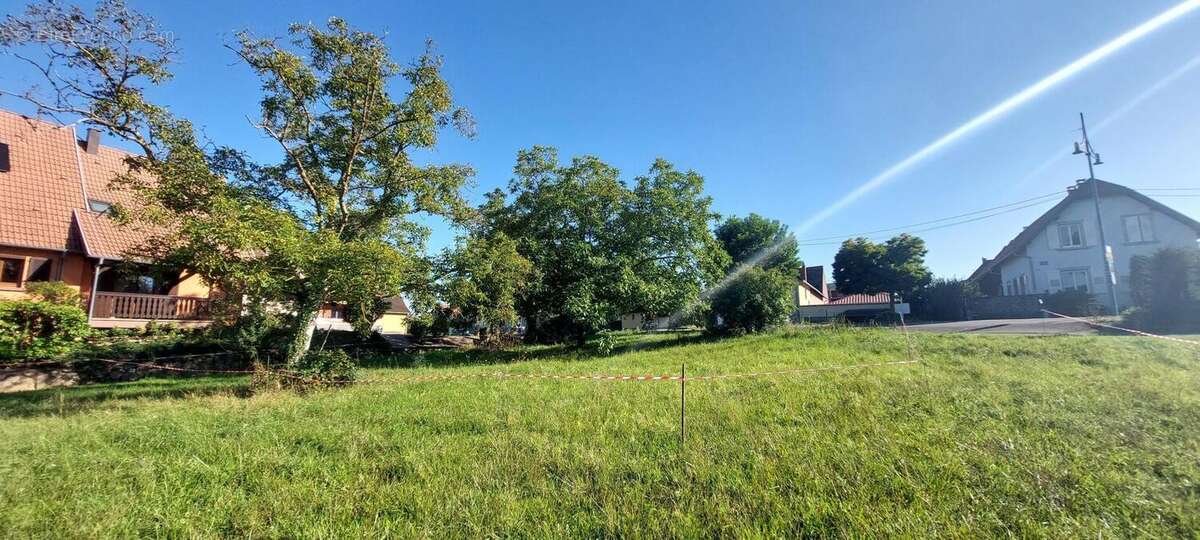 Photo 5 - Terrain à DORLISHEIM