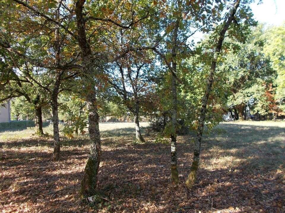 Terrain à LACHAPELLE-AUZAC