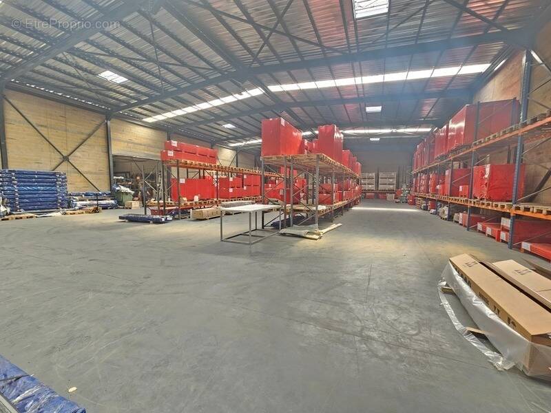 Commerce à LISSES