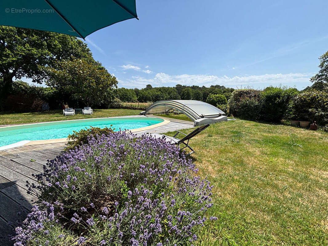 Maison à FEREL