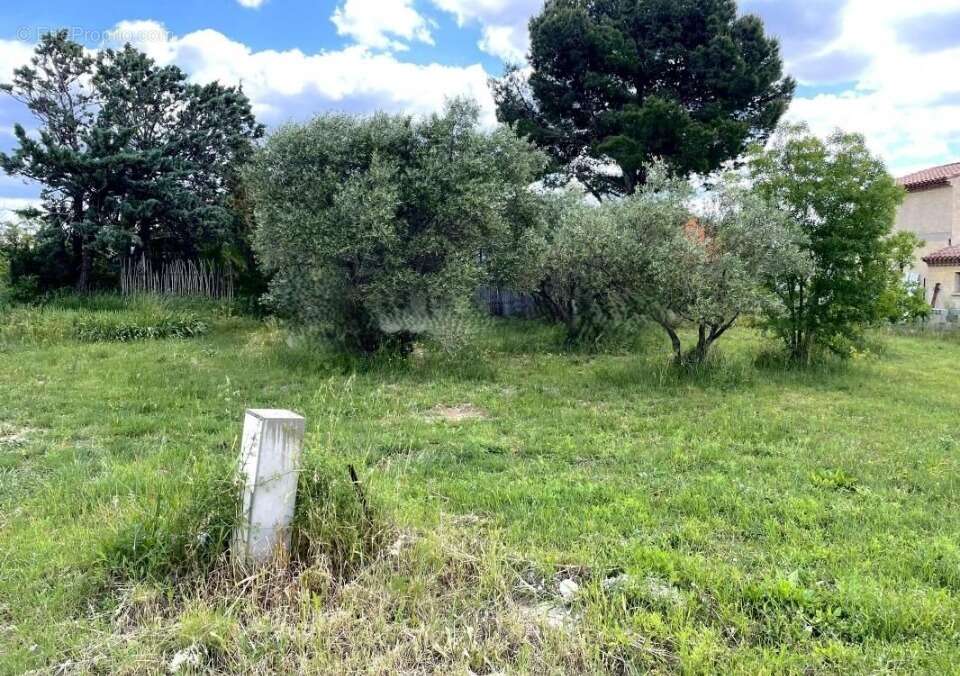 Terrain à MONTPEYROUX
