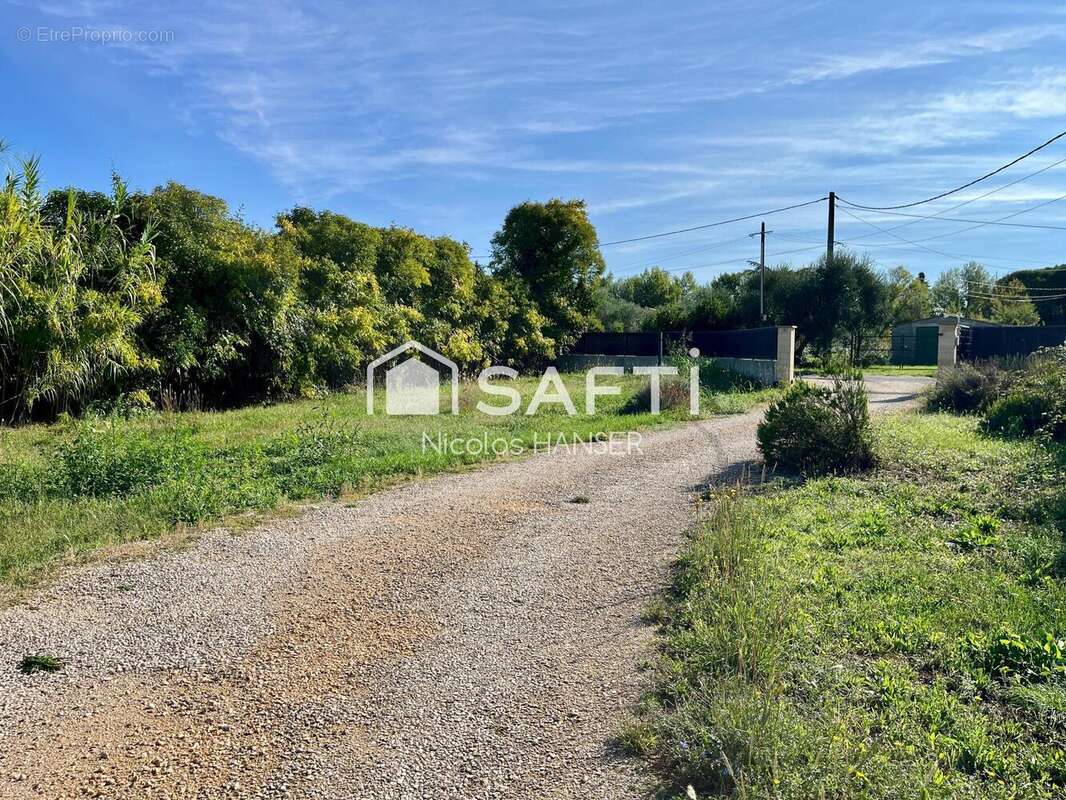 Photo 2 - Terrain à SAINT-HILAIRE-DE-BRETHMAS