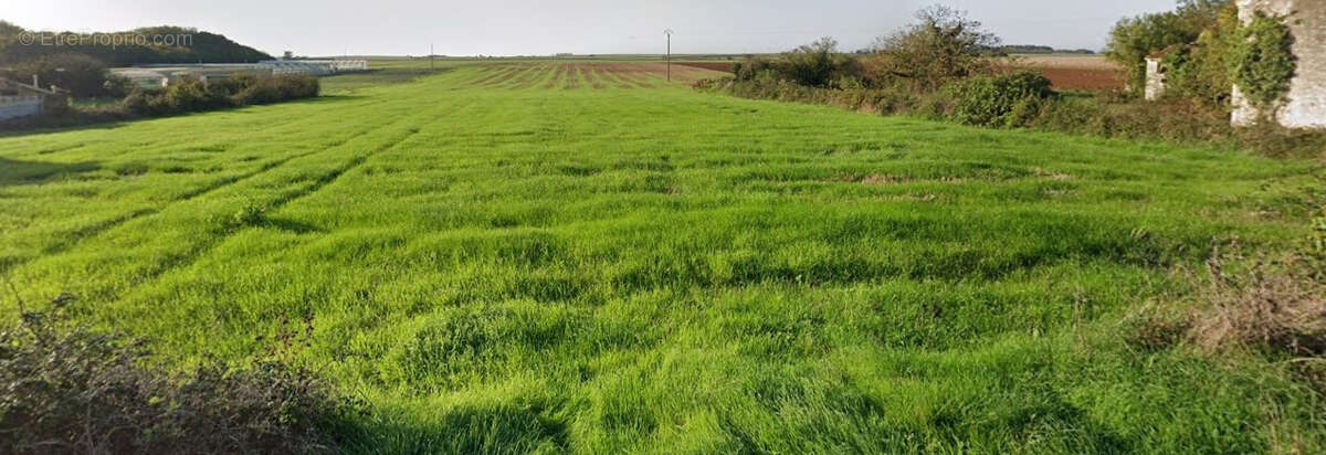 Terrain constructible   1622 m2 non viabilise - photo 4