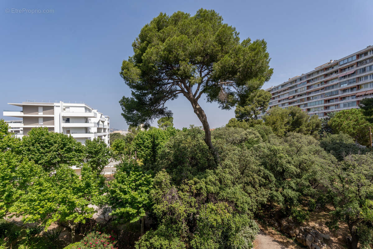 Appartement à MARSEILLE-9E