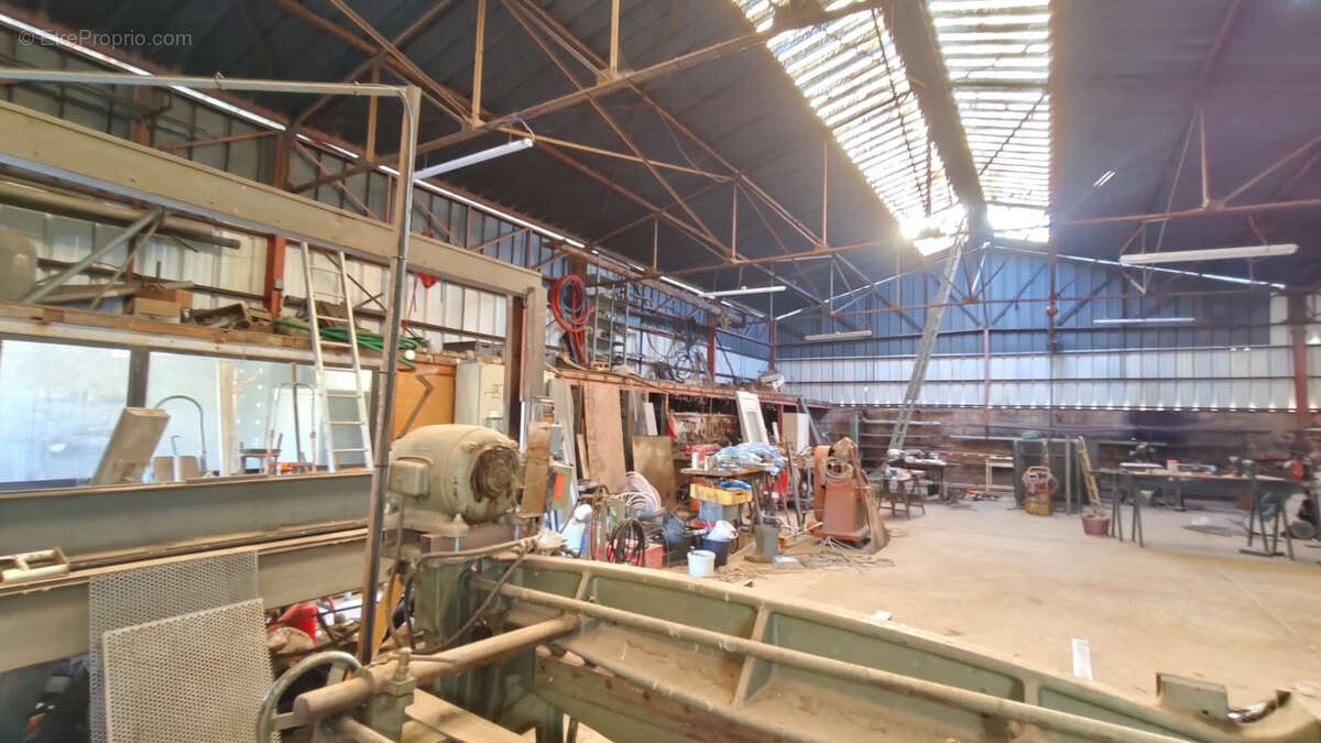 Proche Limoux - Hangar/Atelier de 530m2 environ sur terrain attenant de 1778m2 - photo 4