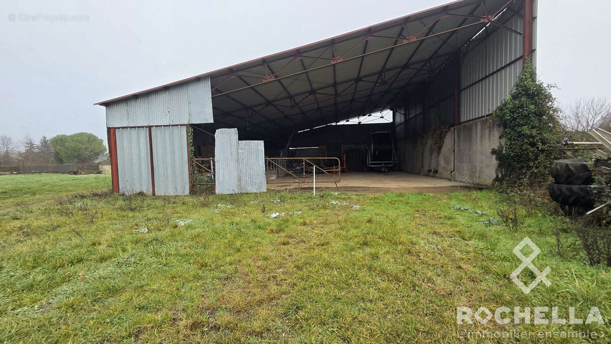 Appartement à PAILLE