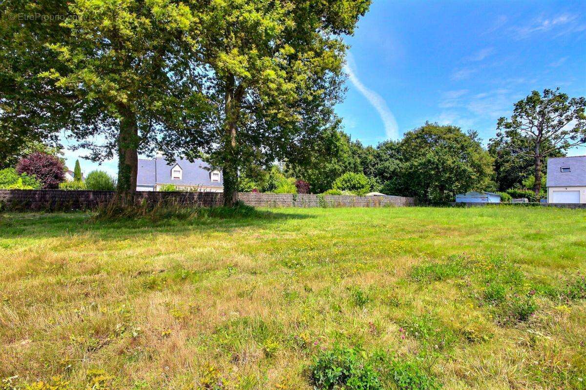 Terrain à HERBIGNAC