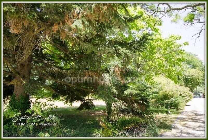 Exceptionnel à léognan, limite gradignan – propriété de caractère sur plus de 1,3 hectare de nature - photo 9