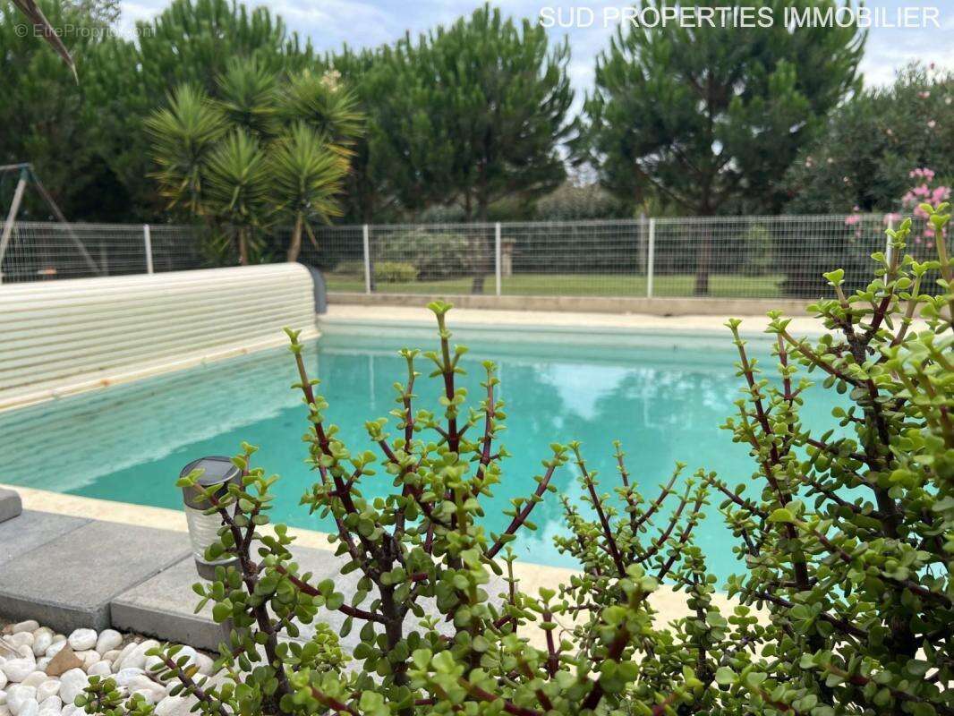 Maison à TORREILLES