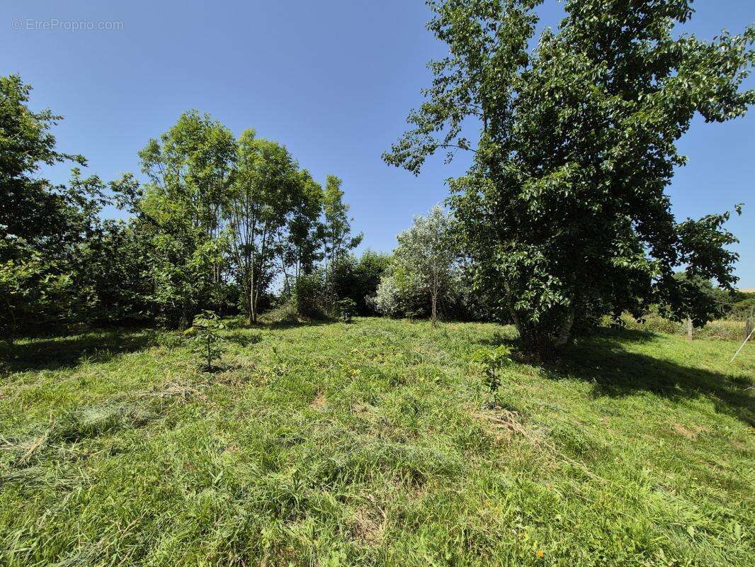 Charmante Maison Bretonne avec Jardin - photo 19