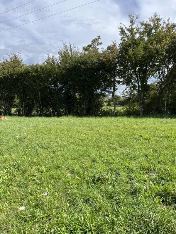 Terrain à LE CHEVAIN