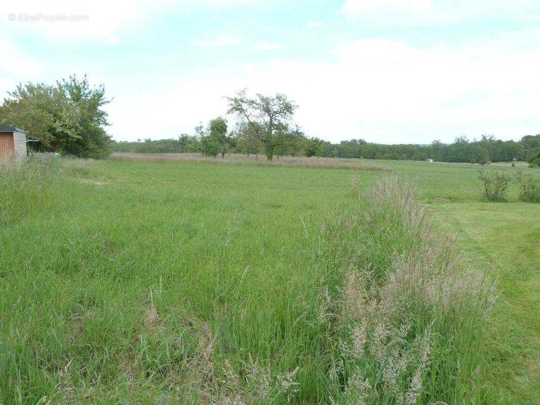 Terrain à LAUBACH