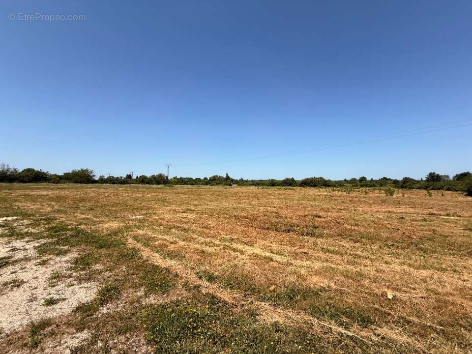 Terrain 842 m² à Cours-De-Pile  - photo 2