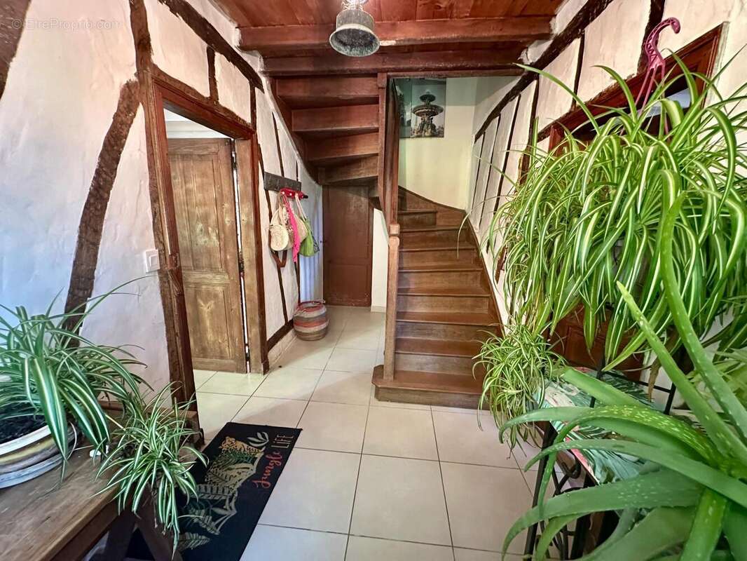 Photo 2 - Maison à NOGARO