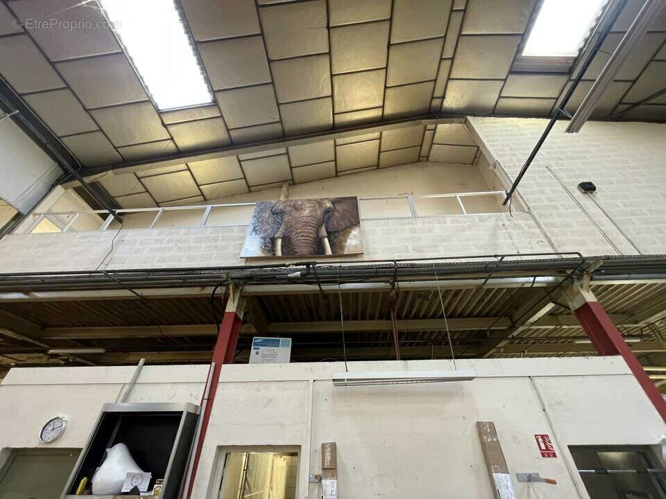 Autre à RILLIEUX-LA-PAPE