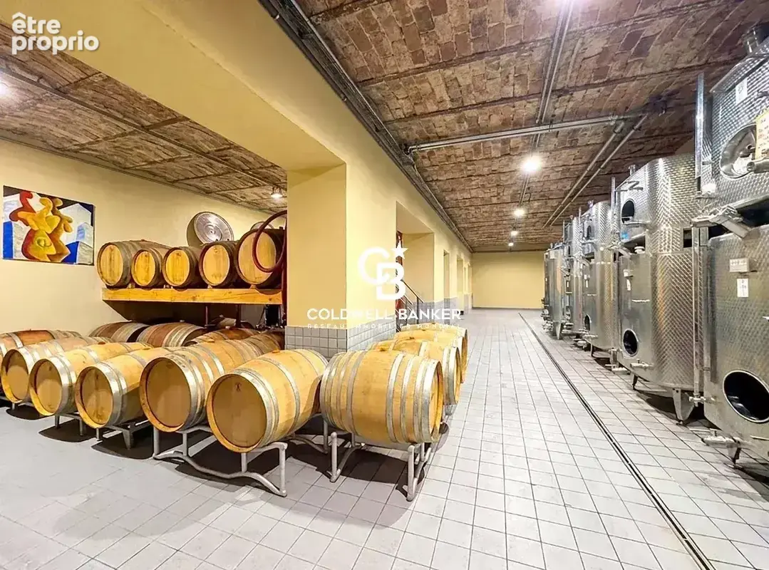 Château Les Apiès : Exclusivité d'un Actif Viticole et Foncier Intégré - photo 19
