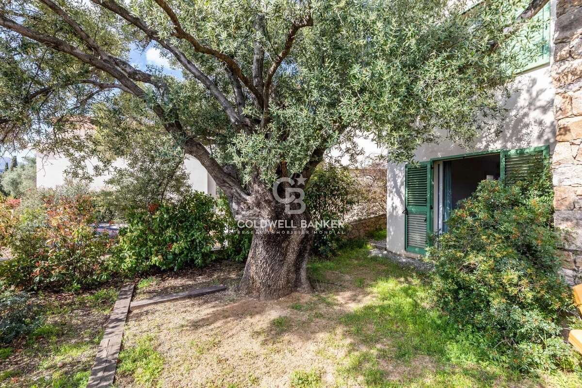 Maison à MONTICELLO