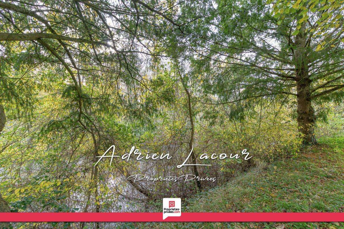 Maison à PRUNIERS-EN-SOLOGNE