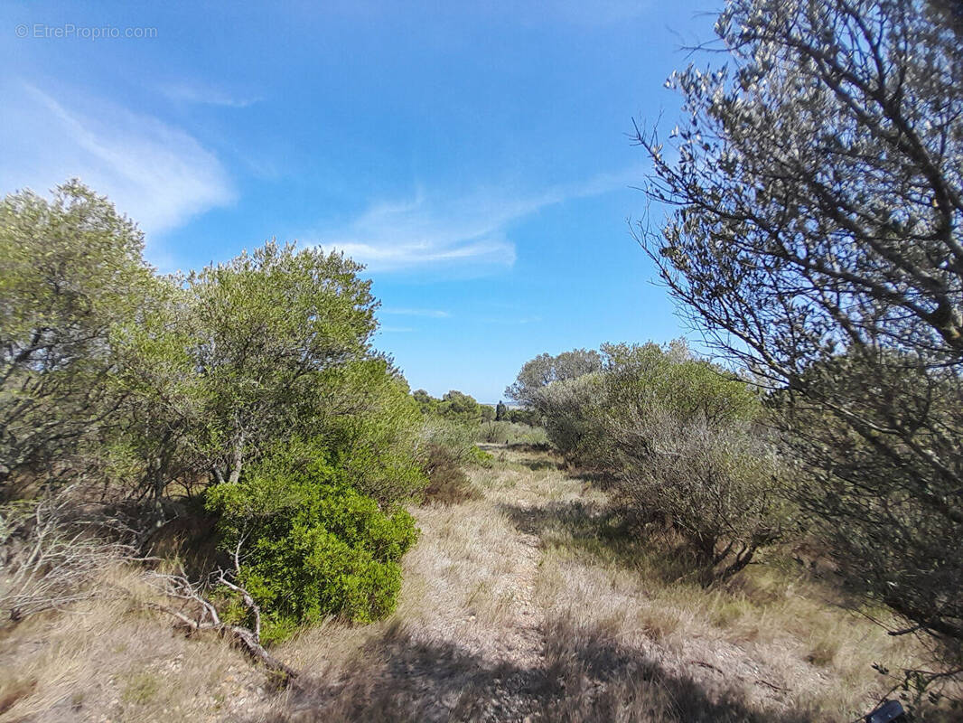 Terrain à LA PALME