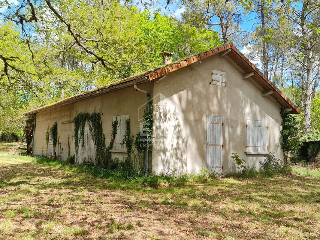 Maison à SAINT-PAUL-EN-BORN