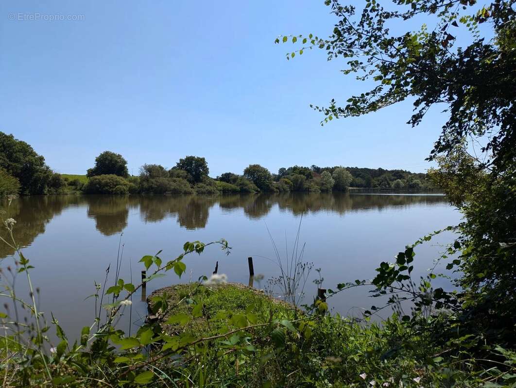 Belle propriété de caractère avec une maison pour les invités et un lac de pêche exceptionnel - photo 2