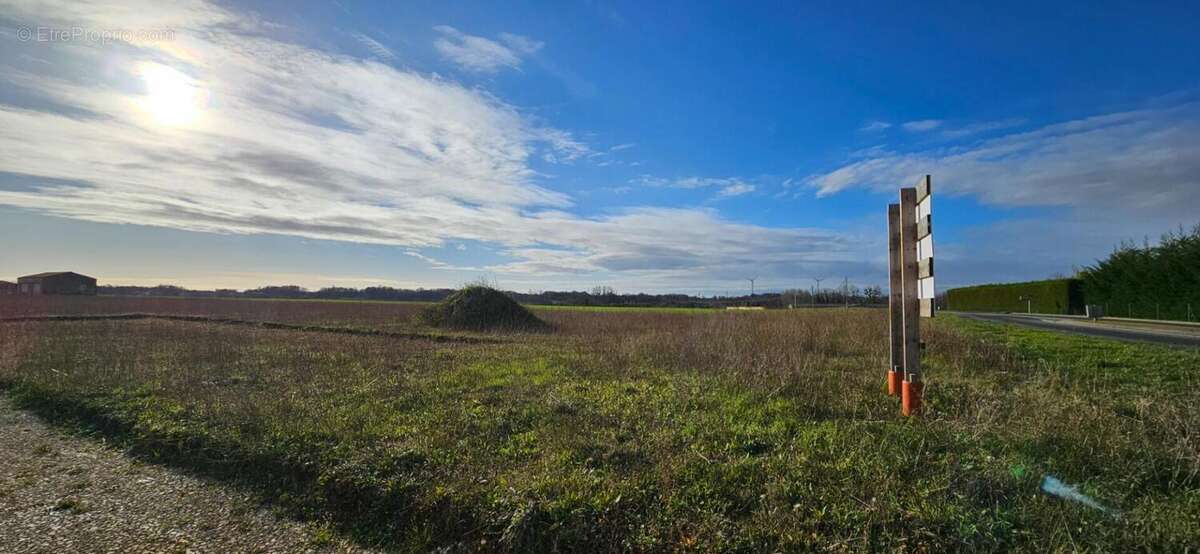 Terrain à ARCHINGEAY