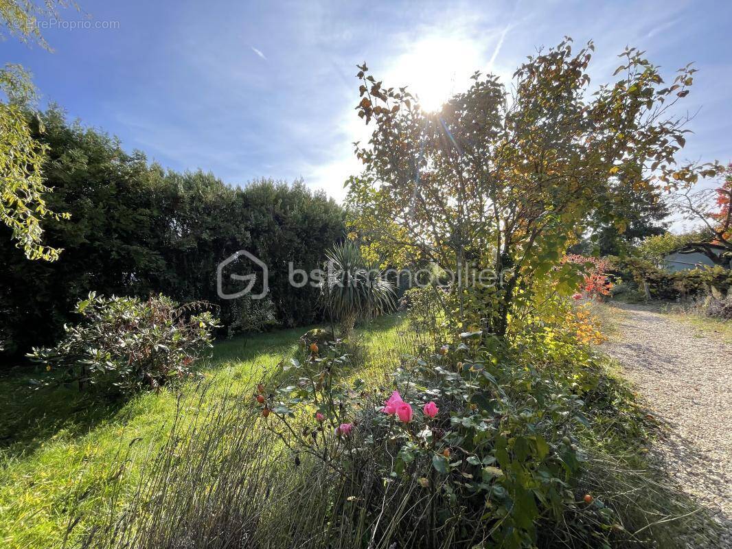 Maison à BOIS-LE-ROI