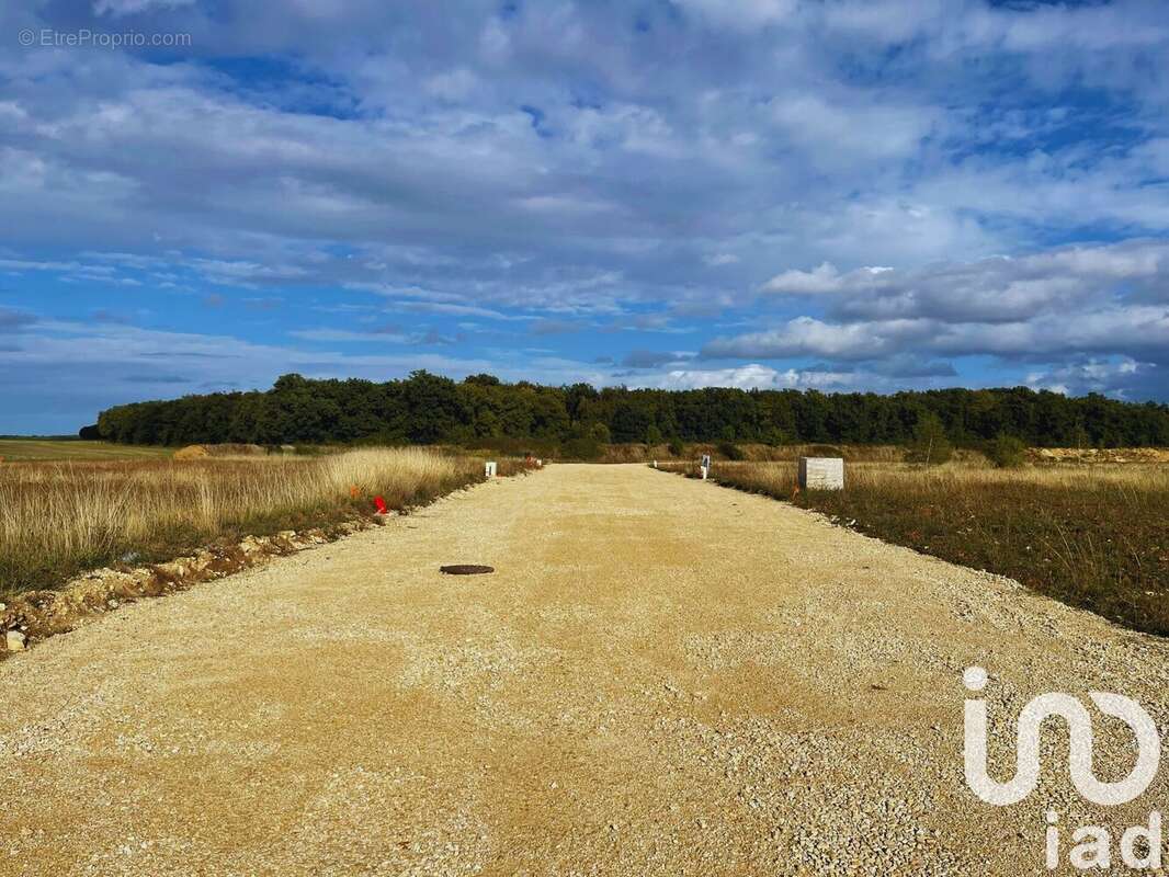 Photo 3 - Terrain à SAINT-FLORENT-SUR-CHER