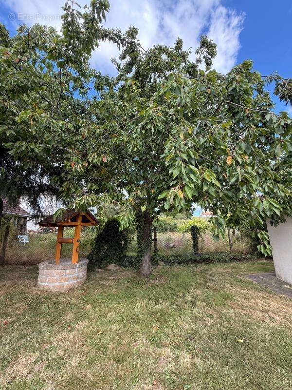 EN EXCLUSIVITE ! Pavillon de 114m², sur sous sol,  terrain de 956m2 169 900 € - photo 47