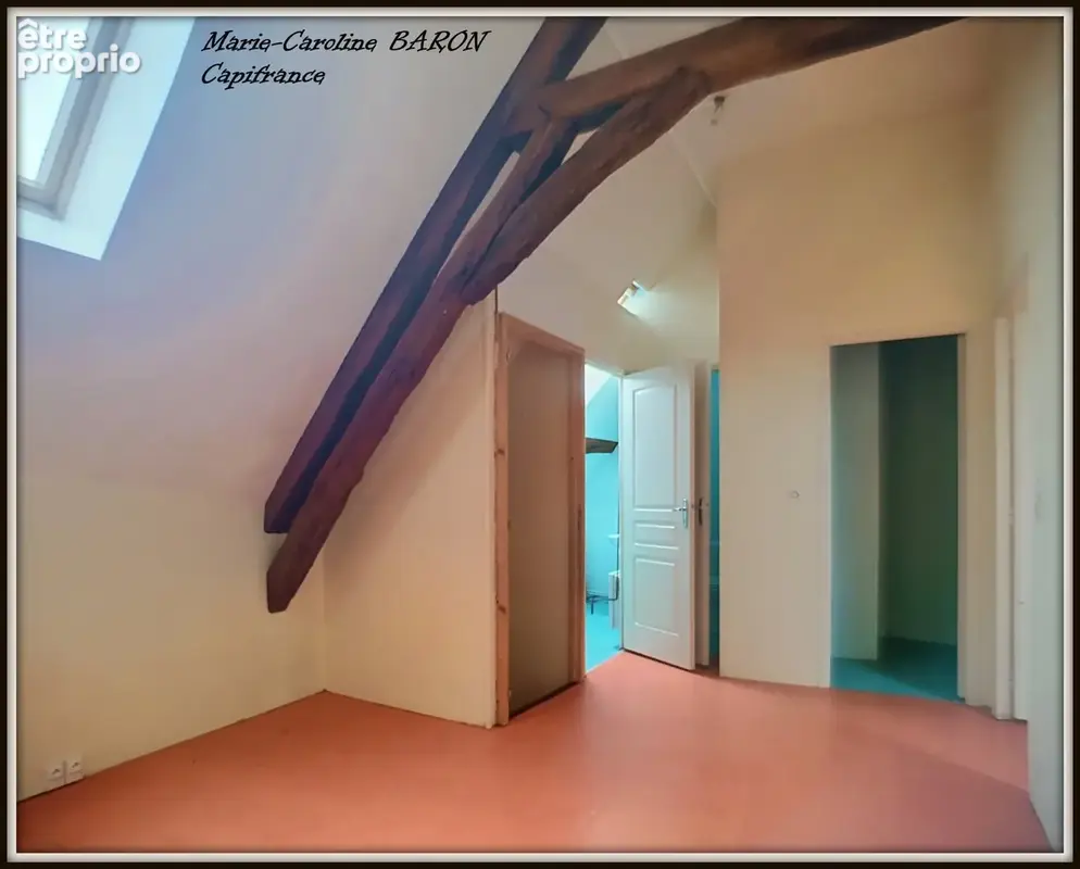 Immeubles pour investissement  BUZANCAIS (36) - photo 13