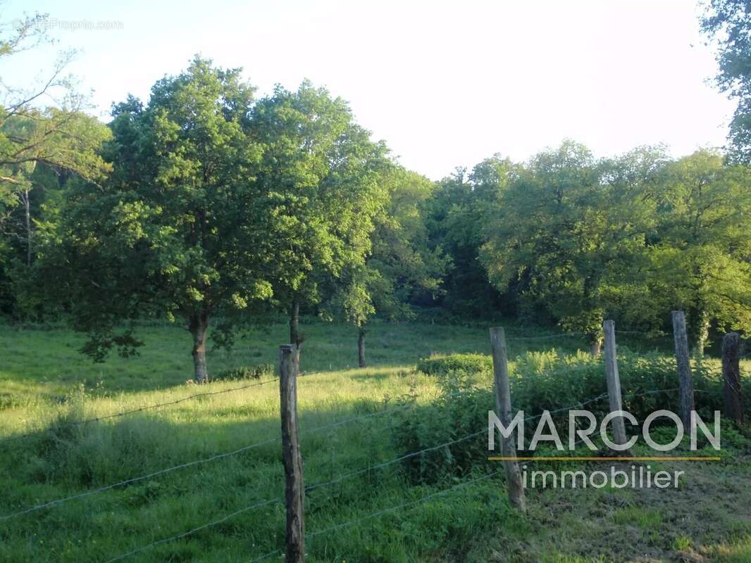 Maison à MAISON-FEYNE