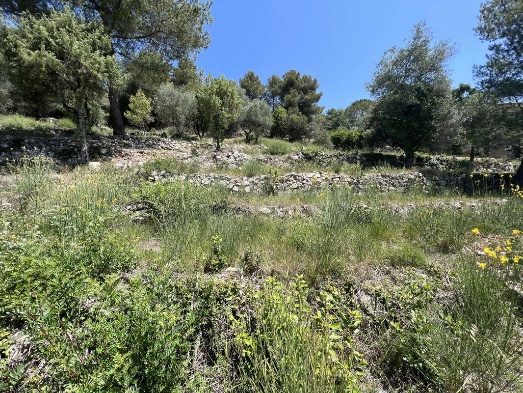 Terrain à TOURRETTE-LEVENS