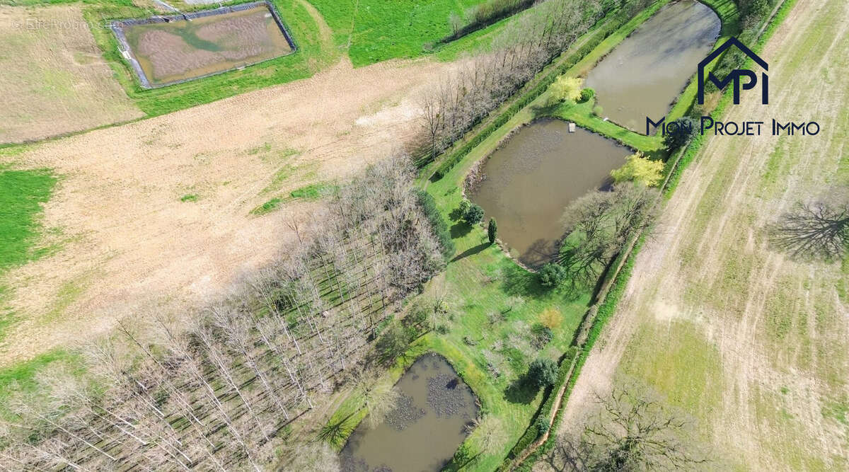 Terrain à LA BACONNIERE