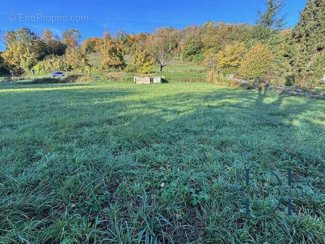 Terrain à BRAY-ET-LU