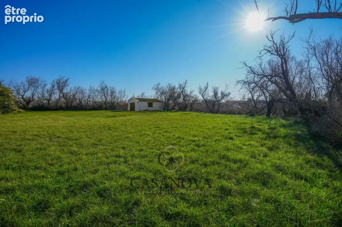 Mas camarguais de charme à vendre  Saintes-Maries-de-la-Mer  Calme absolu, nature et authenticité - photo 11