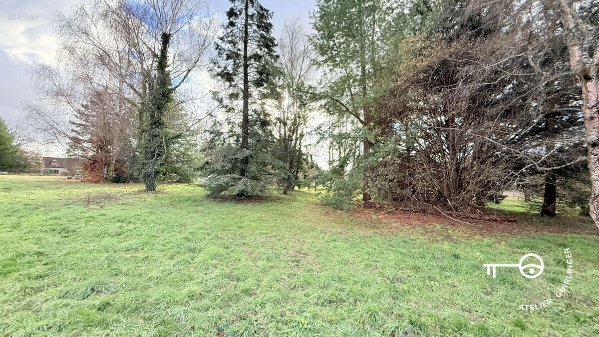 Terrain à MONTRIEUX-EN-SOLOGNE