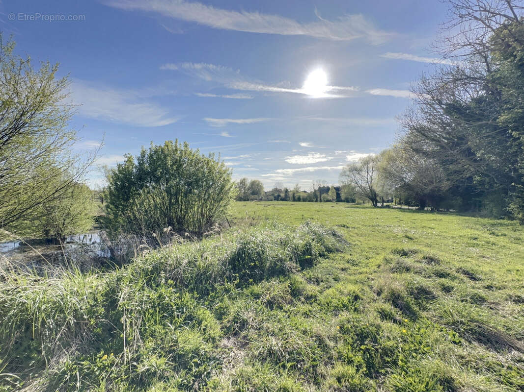 Terrain à SAINT-QUENTIN-EN-TOURMONT