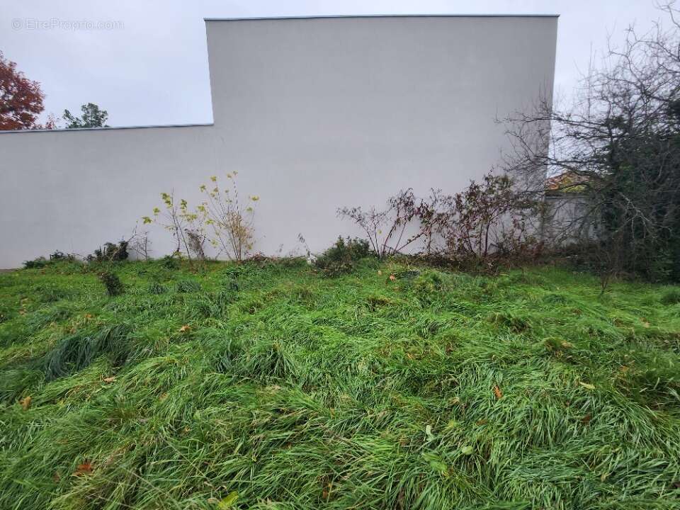 Terrain à SAINT-PRIEST