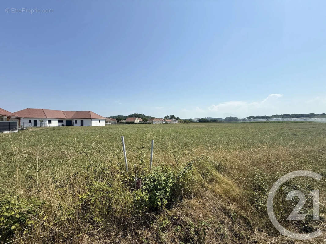 Terrain 2 657 m² à vendre à Maslacq (64300) - photo 6